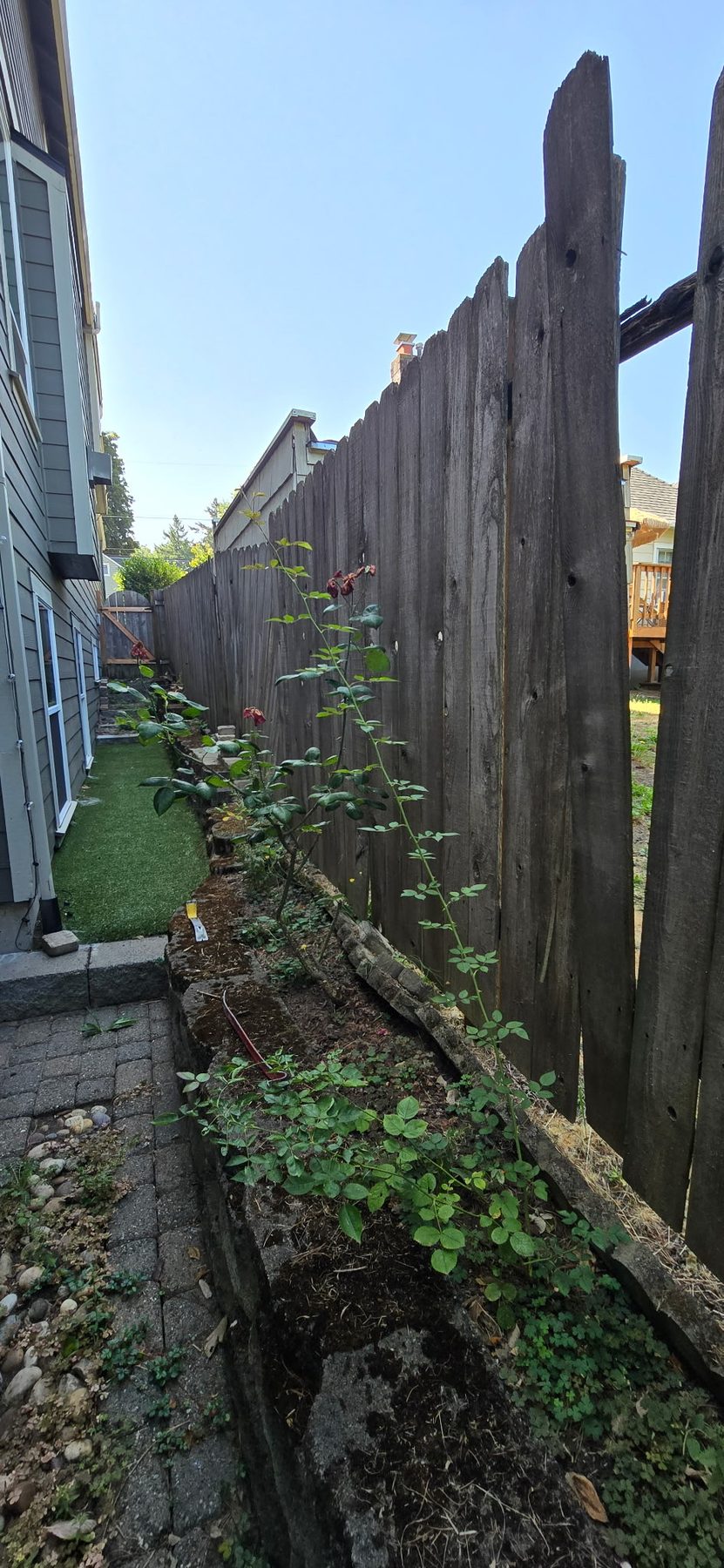 Old weathered wood fence with broken and leaning boards before replacement