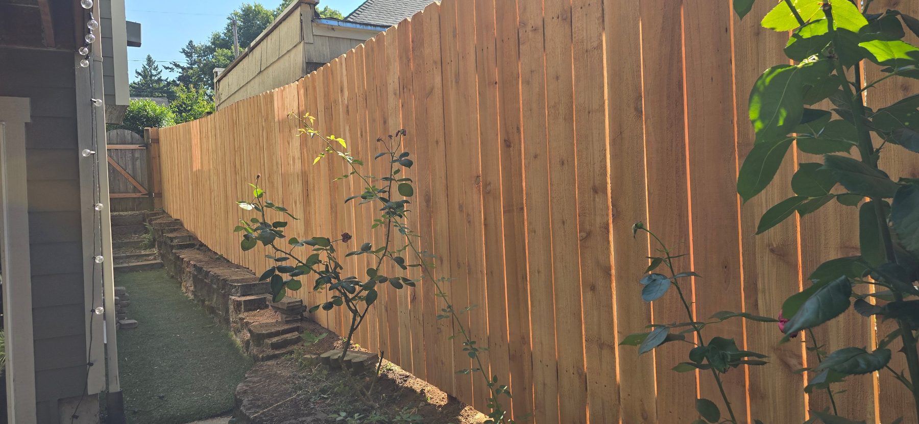 Completed cedar privacy fence in a Portland side yard