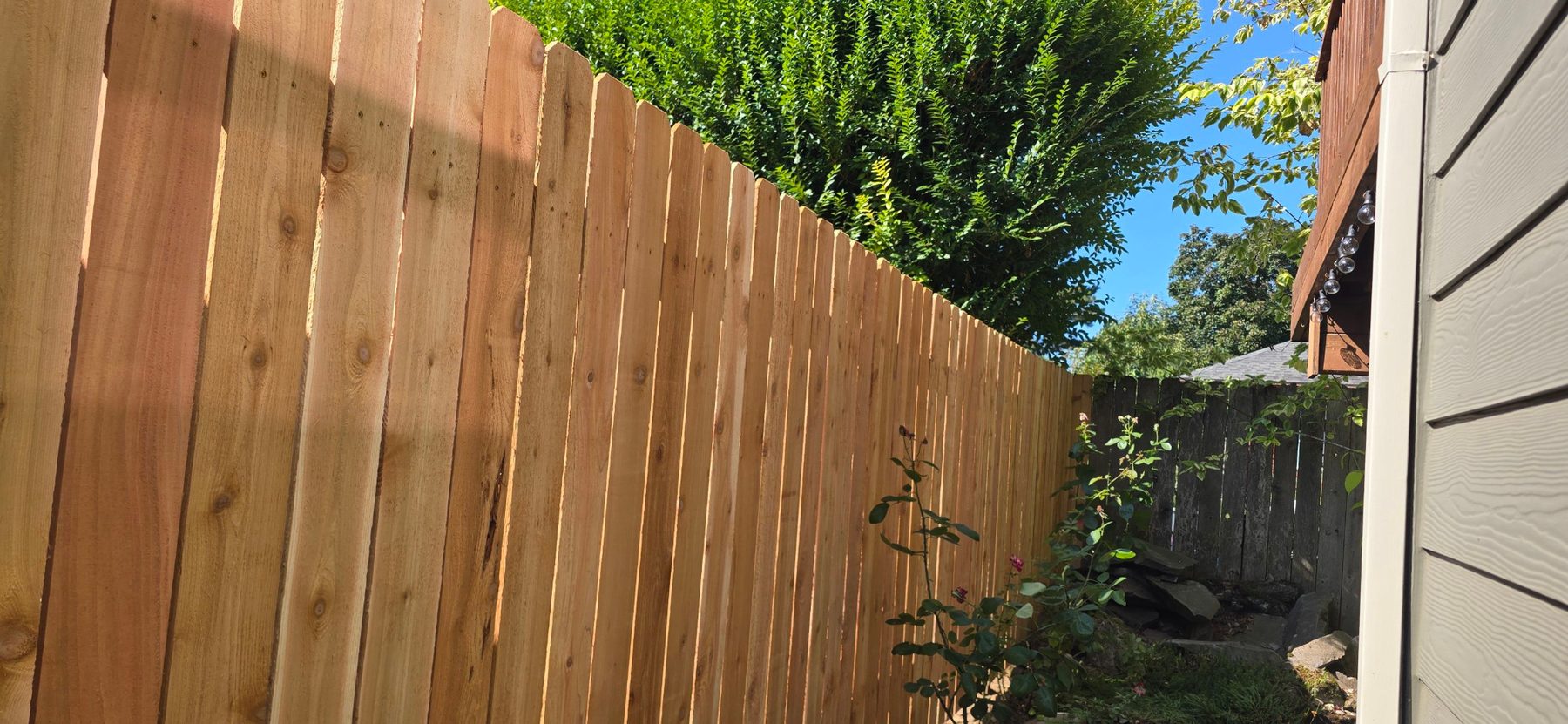 Finished cedar dog-ear privacy fence with landscaping left intact