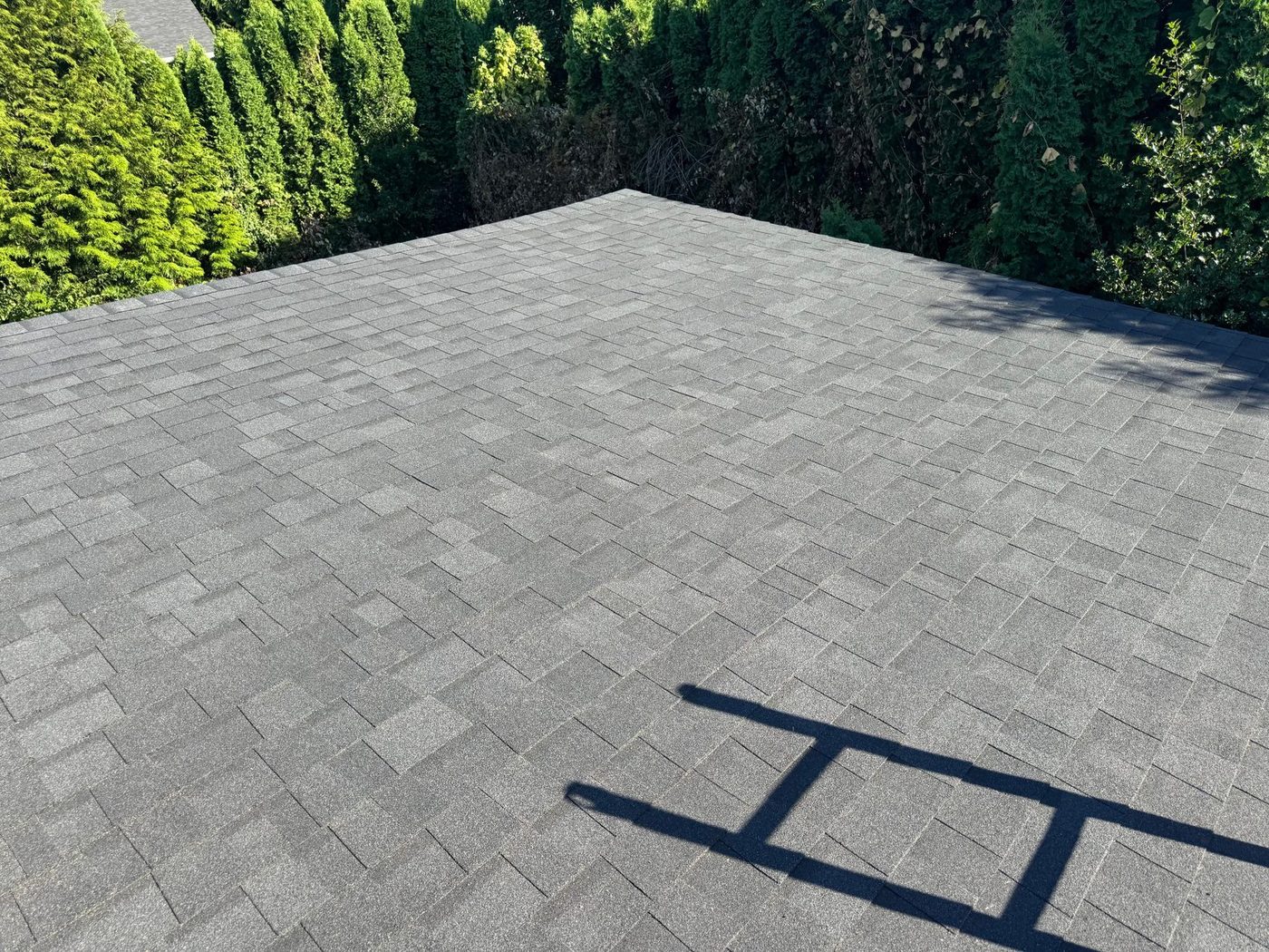 Clean, uniform new asphalt shingle surface