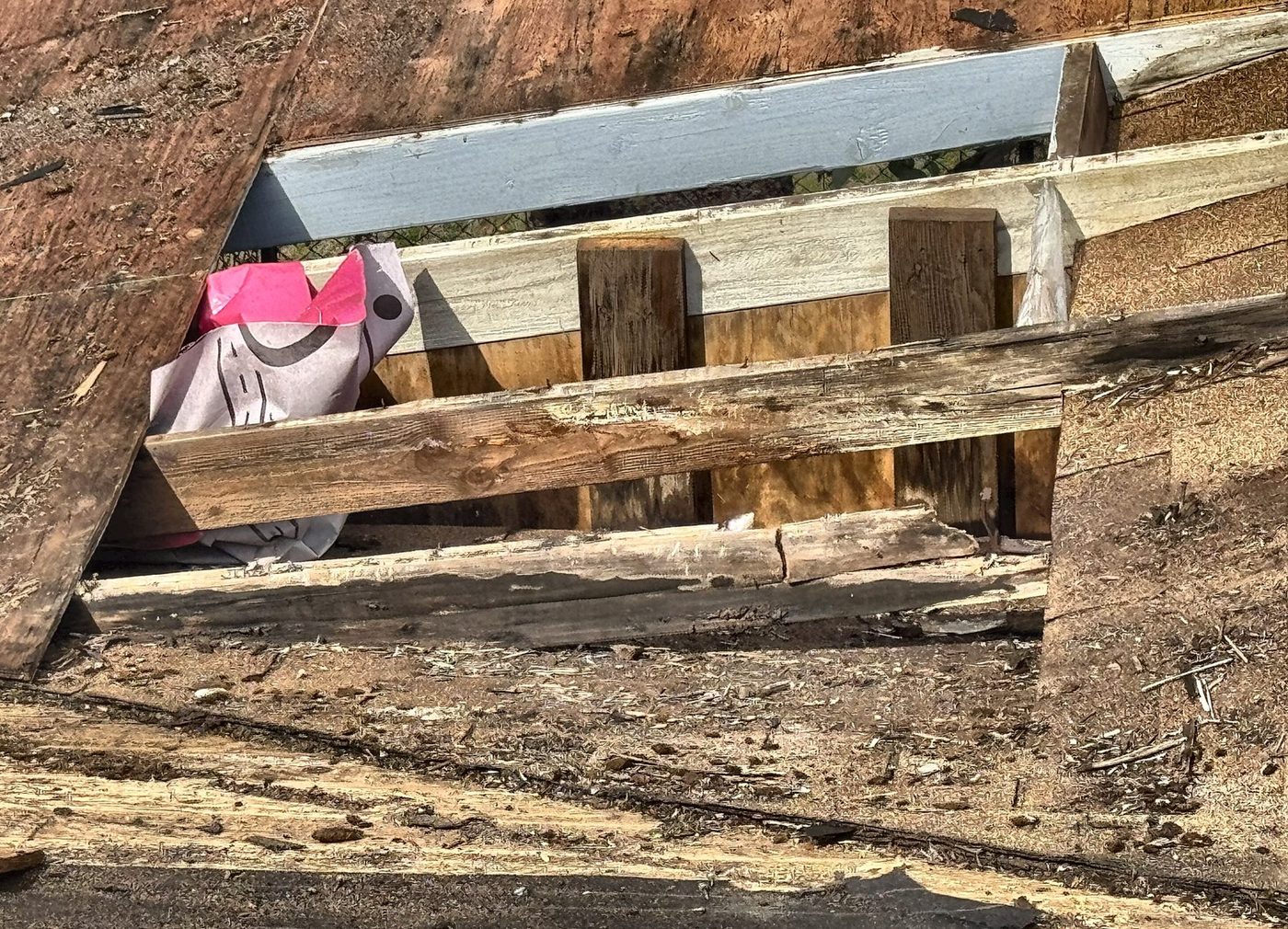 Rotted roof sheathing and rafter framing exposed at the eave during roof tear-off in Columbia County, Oregon